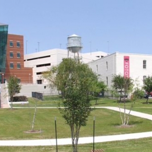 Photo of Mansfield Marketing