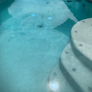 Photo of Trilogy Pools Service & Repair