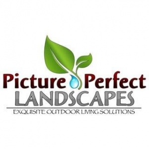 Photo of Picture Perfect Landscapes