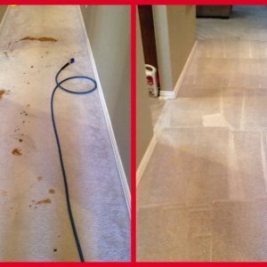 Photo of Pro Cleaning Solutions