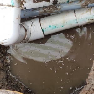 Photo of All Aquatic Pool Service and Leak Detection