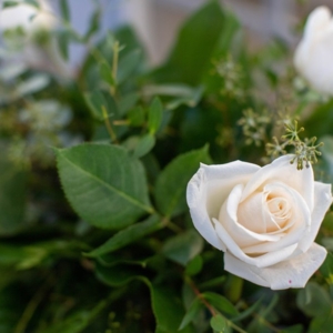 Photo of La Bonita Flower Shop