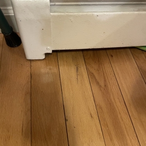 Photo of Sunlight Cleaning