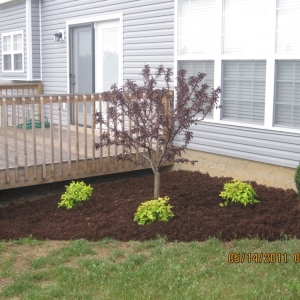 Photo of Wayne's Lawn Service