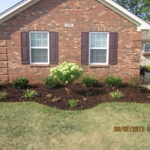 Photo of Wayne's Lawn Service