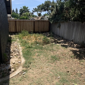 Photo of Hernandez One Time Yard Clean Up