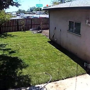 Photo of Hernandez One Time Yard Clean Up