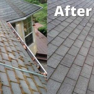 Photo of EcoWash Window, Gutter and Roof