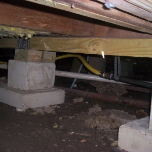 Photo of Texas Pro Tech Foundation