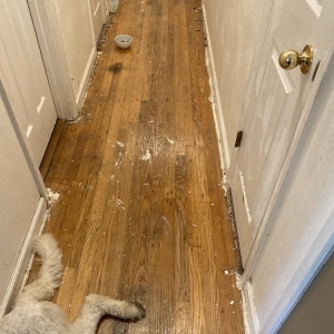 Photo of Artistic Flooring