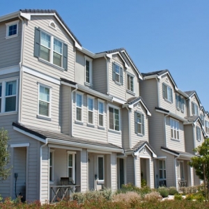 San Antonio Apex Construction Service
