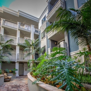 Photo of The Adler Apartments