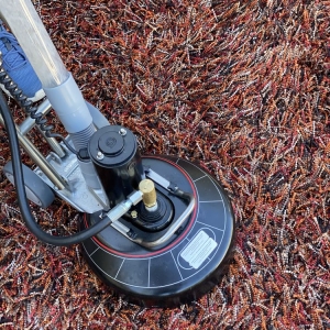 Photo of Sirius Cleaning Services Corp