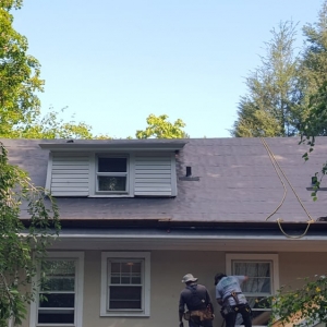 Photo of Hastings Roofing