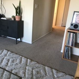 Photo of Carpet Care By Mark