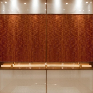 Photo of Global Elevator Consultant's
