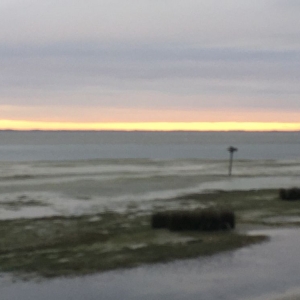 Photo of Town of Duck