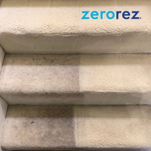 Photo of Zerorez Virginia Beach