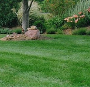 Photo of Picture Perfect Lawn Care Service