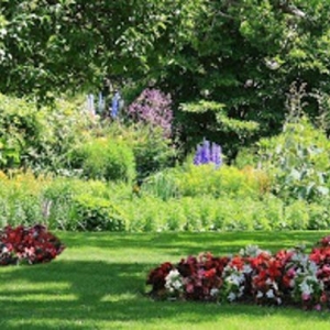 Photo of Picture Perfect Lawn Care Service