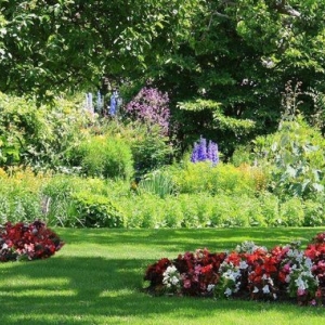 Photo of Picture Perfect Lawn Care Service