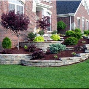 Photo of Picture Perfect Lawn Care Service