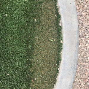 Photo of Evergreen Synthetic Lawns & Putting Greens