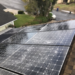 Photo of Freshwater Exteriors