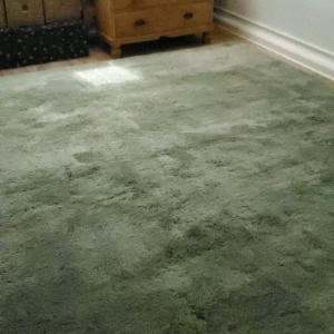 Photo of Sparkling Carpets
