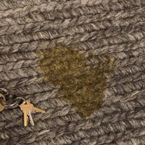 Photo of Sparkling Carpets