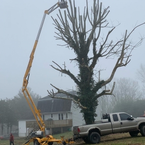 Photo of Sedgwick Landscaping