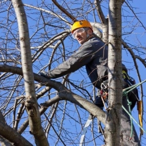 Photo of Sedgwick Landscaping