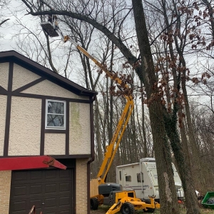 Photo of Sedgwick Landscaping