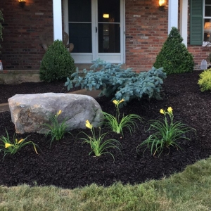 Photo of JD Landscaping