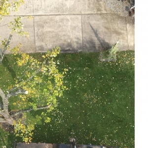 Photo of JD Landscaping