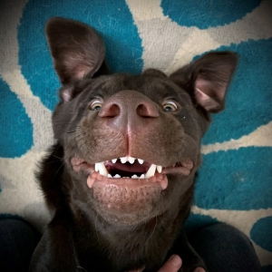 Photo of Kelli Kerton - State Farm Insurance Agent