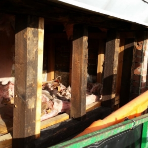Photo of Cavella Contracting