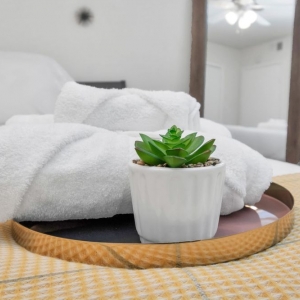 Photo of Deep Cleaning Services Texas