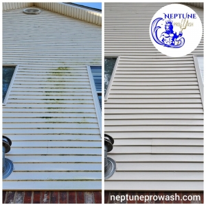 Photo of Neptune ProWash