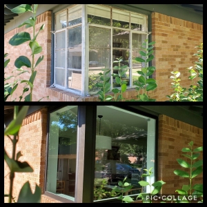 Photo of Pro 1 Windows and Doors