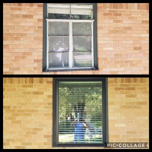 Photo of Pro 1 Windows and Doors