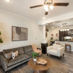 Photo of Arlo Luxury Apartment Homes