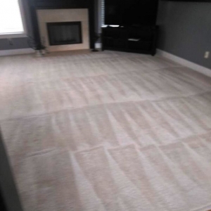 Photo of Purified Carpet
