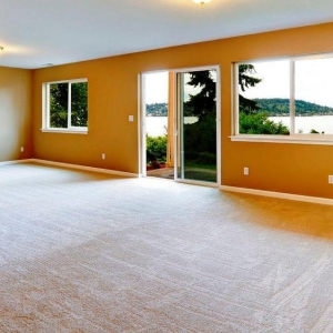 Photo of Purified Carpet