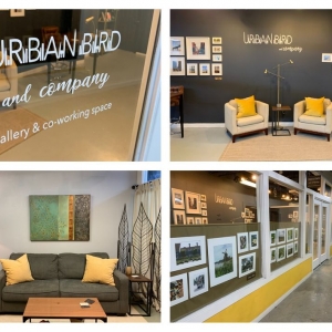 Photo of Urban Bird and Company