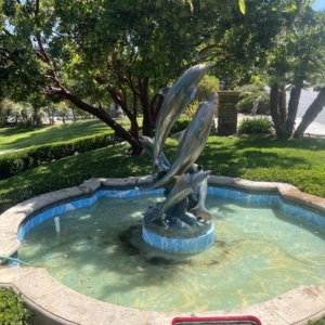Photo of Strongarm Pools & Services