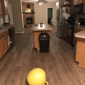 Photo of Majestic Floor Covering