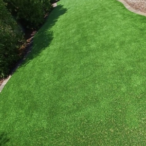 Glendale Alpha Turf