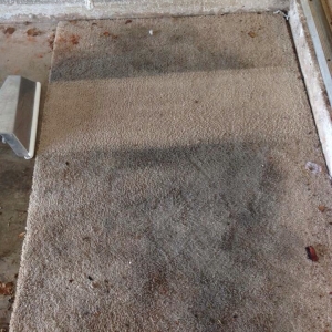 Photo of Exceptional Carpet Cleaning