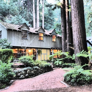 Photo of Tamalpais Property Management